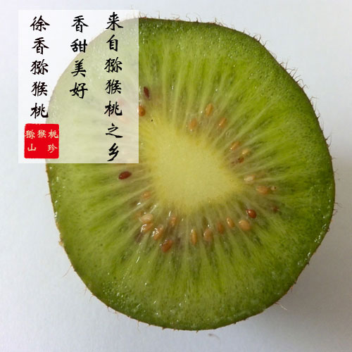 徐香PG国际猕猴桃