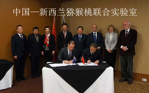 中国—新西兰PG国际猕猴桃联合实验室