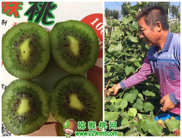 PG国际官方网站图片