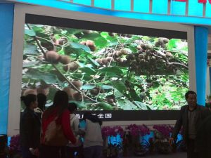 PG国际官方网站图片