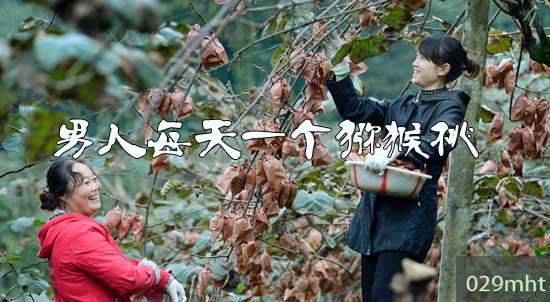 男人每天一个PG国际猕猴桃&lsquo;.jpg