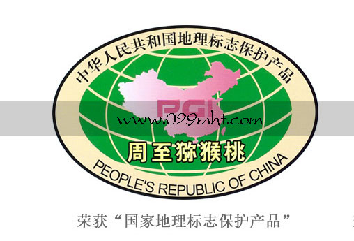 PG国际 78fbb
