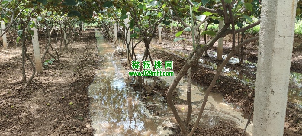 PG国际 2f9b0
