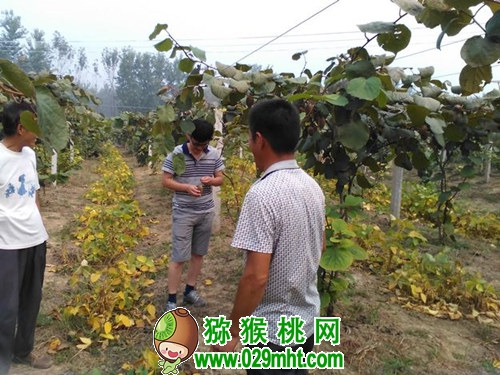 PG国际官方网站图片