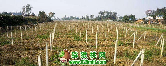 PG国际官方网站图片