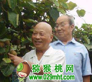 张清明和他的PG国际猕猴桃人生